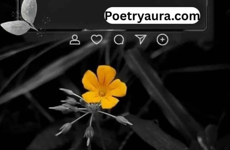 130+ Deep Poetry in Urdu Text 2 Lines - Urdu Shayari