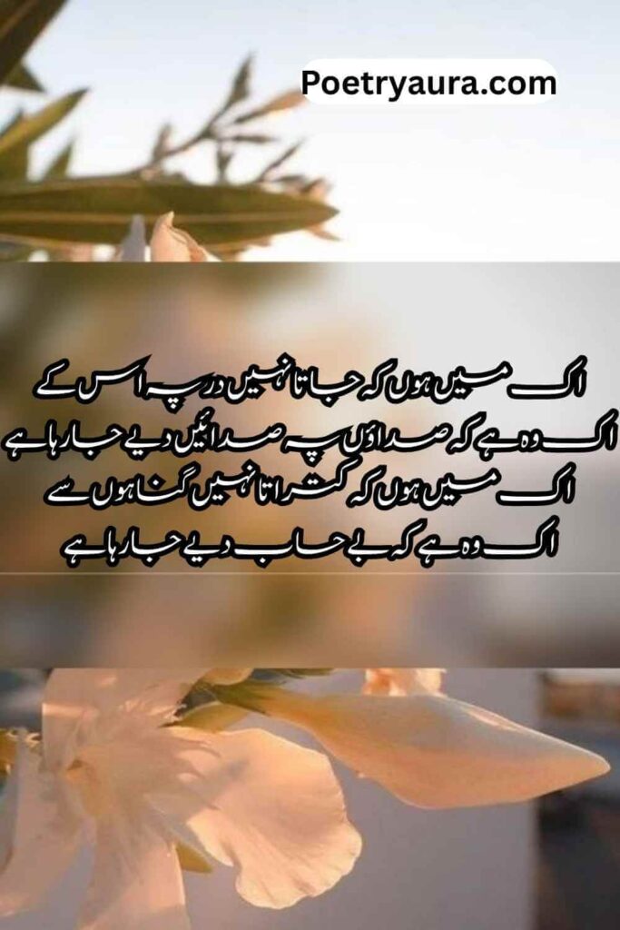 150+ Islamic Poetry in Urdu (2026) - Islamic Shayari and Quotes