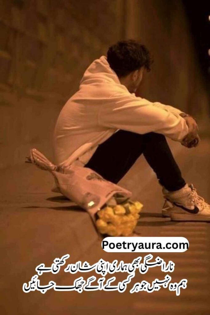 Narazgi Poetry 2 Lines Attitude