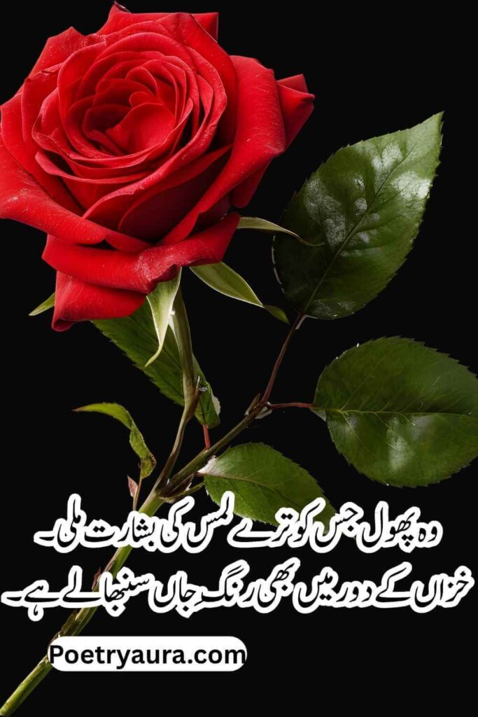 Romantic Flower Poetry in Urdu