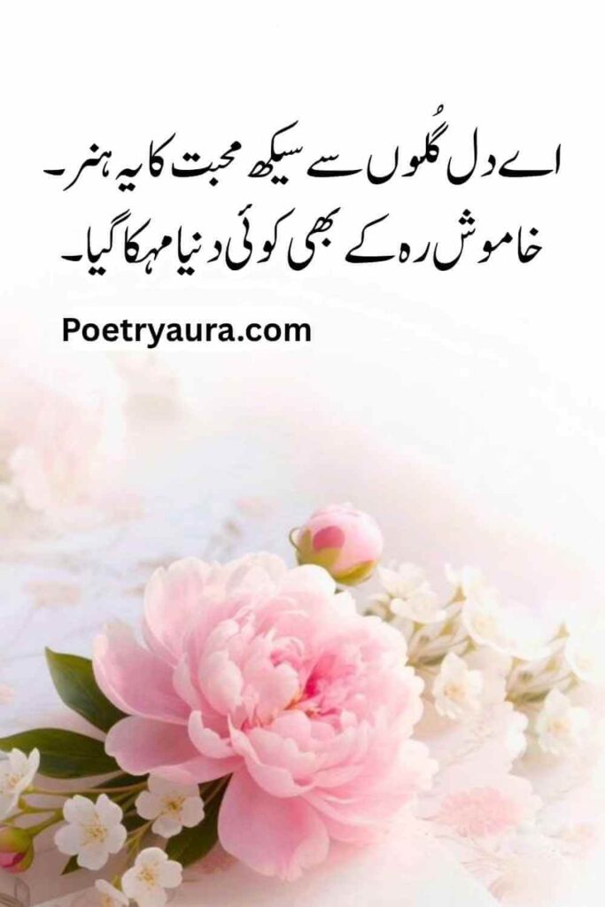 150+ Beautiful Flower Poetry in Urdu Text - پھول پر اشعار​